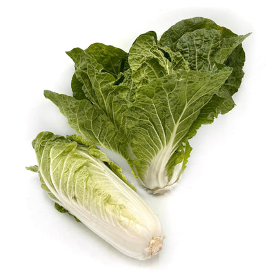 Biohof Stövesandt Bio Chinakohl