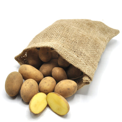 Biohof Stövesandt Bio Heidekartoffeln Drillinge - VORBESTELLUNG