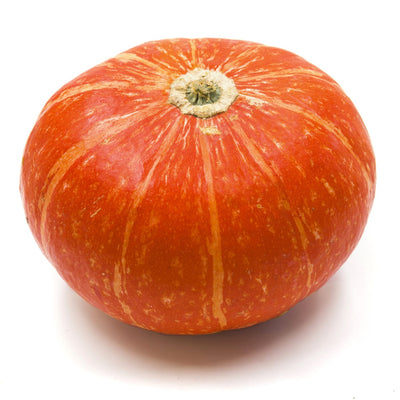 Biohof Stövesandt Bio Hokkaido Kürbis