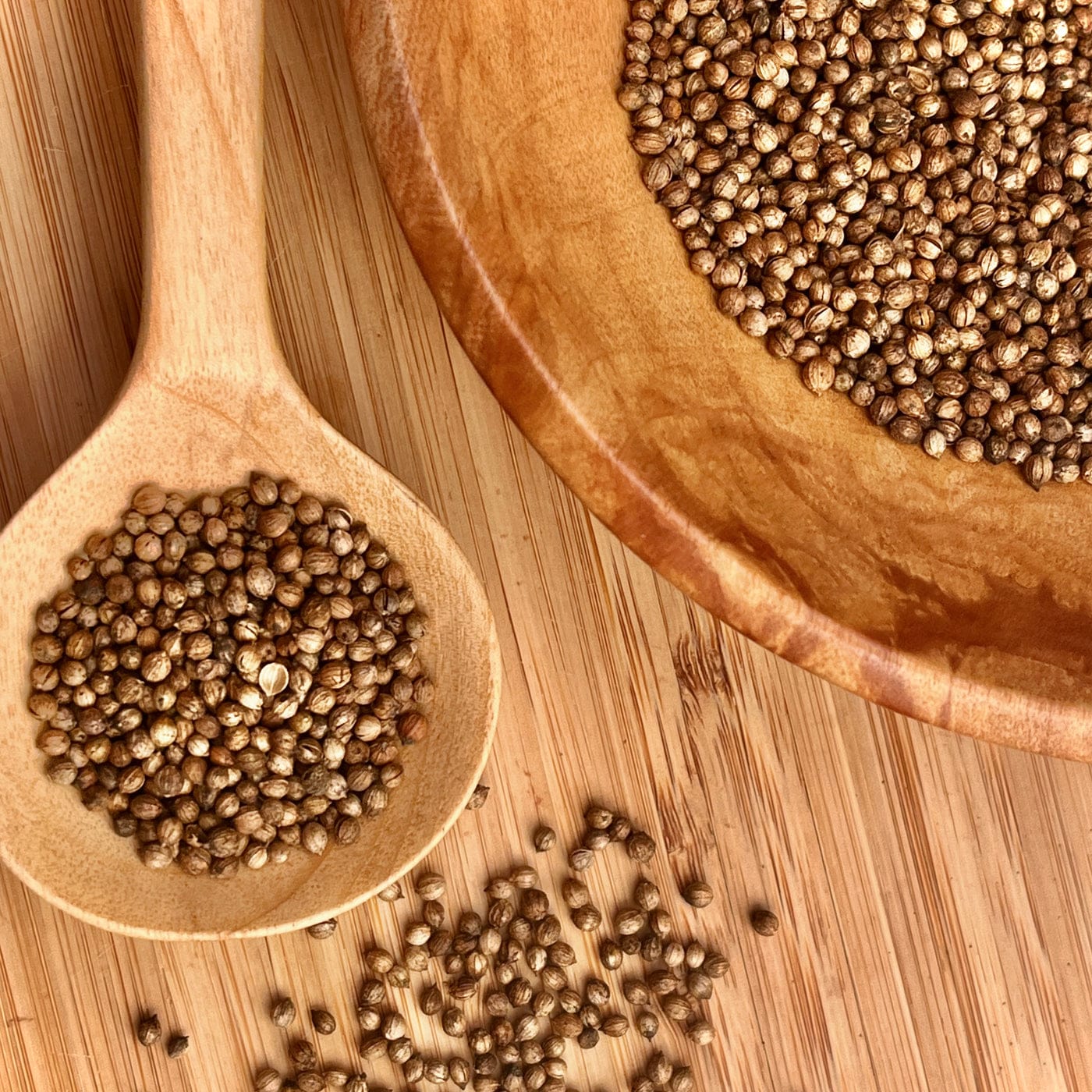 Bio Koriander Samen aus eigenem Anbau – Biohof Stövesandt