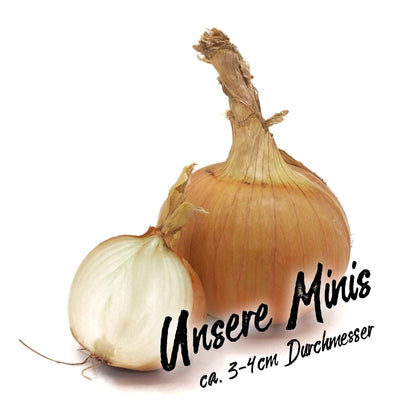 Biohof Stövesandt Bio Mini-Zwiebeln