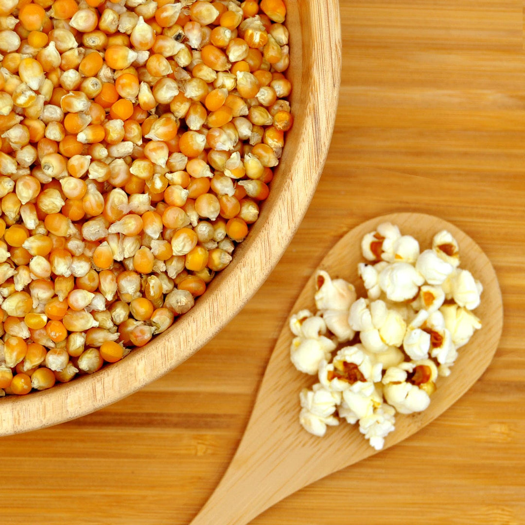 Bio Popcorn Mais vom Biohof Stövesandt