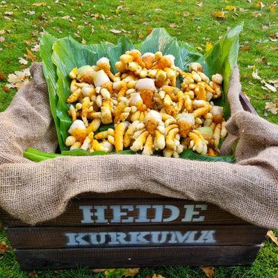 Biohof Stövesandt frischer Bio Heide Kurkuma