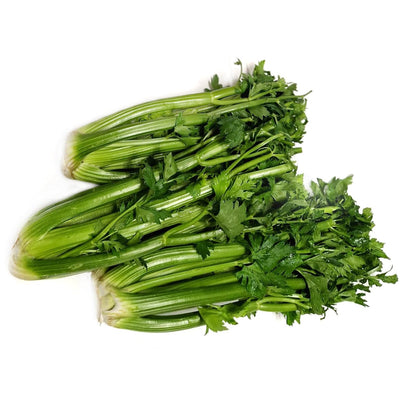 Biohof Stövesandt frischer Bio Staudensellerie