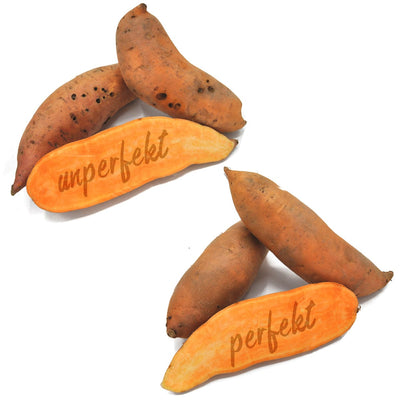 Biohof Stövesandt Bio Heide Süßkartoffeln